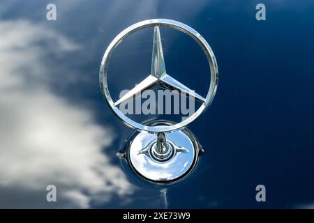 Emblem/Logo auf einem Mercedes Benz Auto. Stockfoto