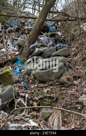 Alte gebrauchte Autoreifen im Wald. Illegale Müllhalde von Reifen in der Natur. Umweltverschmutzung. Stockfoto