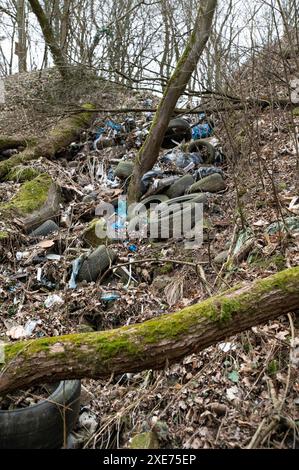 Alte gebrauchte Autoreifen im Wald. Illegale Müllhalde von Reifen in der Natur. Umweltverschmutzung. Stockfoto