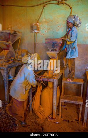 Frauen arbeiten in einer Berbere-Gewürzfabrik auf dem Medebar-Markt in Asmara, Eritrea, Afrika Stockfoto