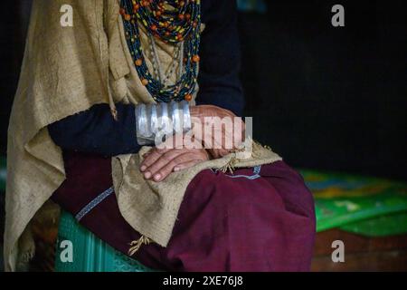 Apatani Stammesvolk, Ziro Valley, Arunachal Pradesh, Indien, Asien Stockfoto