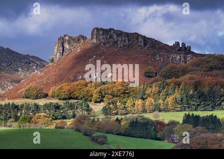 Henne Cloud im Herbst, Teil der Rolaken Felsen Steilhang in der Nähe von Leek, Peak District National Park, Staffordshire Moorlands, Staffordshire, England Stockfoto