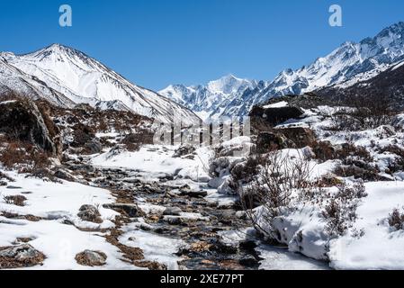 Eisiger Fluss, der entlang des lang Tang Valley in Richtung des schneebedeckten Gangchempo und Kyanjin Gompa, Himalaya, Nepal, Asien führt Stockfoto