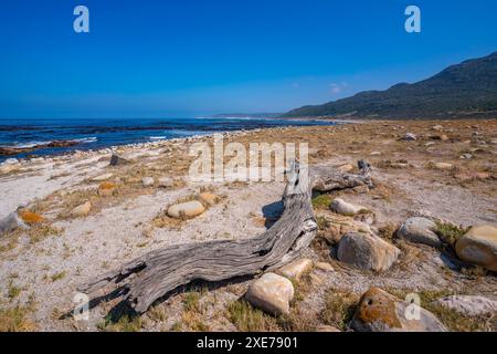 Blick auf die Küste im Naturschutzgebiet der Halbinsel Good Hope, Kapstadt, Westkap, Südafrika, Afrika Stockfoto