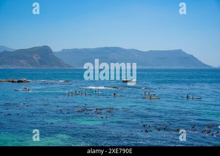 Blick auf Kanufahrten aus erhöhter Position, Seaforth, Table Mountain National Park, Kapstadt, Westkap, Südafrika, Afrika Stockfoto