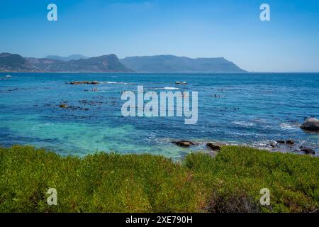 Blick auf Kanufahren und Boulders Beach von erhöhter Position, Seaforth, Table Mountain National Park, Kapstadt, Westkap, Südafrika, Afrika Stockfoto