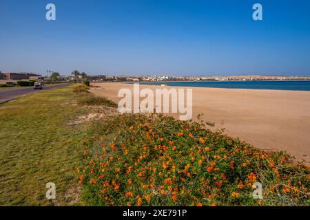 Blick auf den Strand und Sahl Hasheesh im Hintergrund sichtbar, Sahl Hasheesh, Hurghada, Gouvernement des Roten Meeres, Ägypten, Nordafrika, Afrika Stockfoto