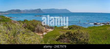 Blick auf Kanufahren und Boulders Beach von erhöhter Position, Seaforth, Table Mountain National Park, Kapstadt, Westkap, Südafrika, Afrika Kopie Stockfoto