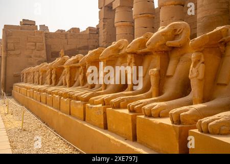 Blick auf die Sphinxe mit RAM-Kopf, die zum Tempel Ramesses III im Tempel Karnak, Karnak, Theben, UNESCO-Weltkulturerbe, Ägypten, Nordafrika führen Stockfoto