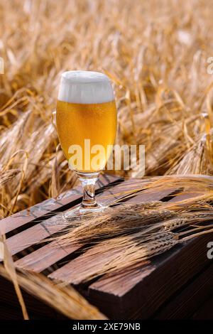 Glas blondes Bier auf Holztisch mit sonnigem Weizenfeld Stockfoto