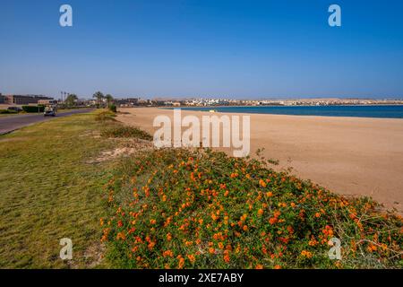 Blick auf den Strand und Sahl Hasheesh im Hintergrund sichtbar, Sahl Hasheesh, Hurghada, Gouvernement des Roten Meeres, Ägypten, Nordafrika, Afrika Copyright: FrankxFell Stockfoto