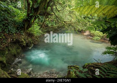 Rio Celeste, Parque Nacional Volcan Tenorio, Provinz Alajuela, Costa Rica, Zentralamerika Copyright: BenxPipe 848-2957 Stockfoto