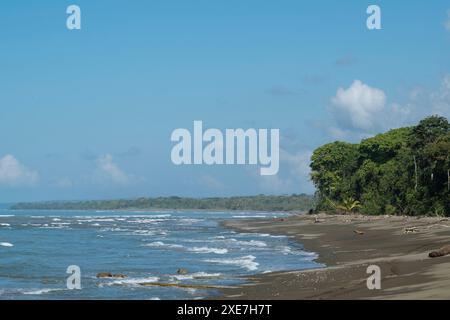 Strand in der Nähe von La Sirena, Corcovado Nationalpark, Provinz Puntarenas, Costa Rica, Zentralamerika Copyright: BenxPipe 848-2988 Stockfoto