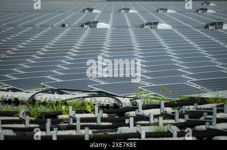 Schwimmende Solarpaneele in Thailand liefern saubere natürliche Energie aus Sonnenschein. Stockfoto