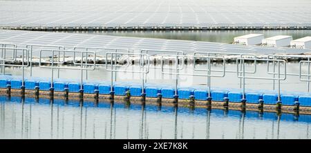 Schwimmende Solarpaneele in Thailand liefern saubere natürliche Energie aus Sonnenschein. Stockfoto