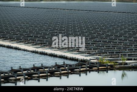 Schwimmende Solarpaneele in Thailand liefern saubere natürliche Energie aus Sonnenschein. Stockfoto