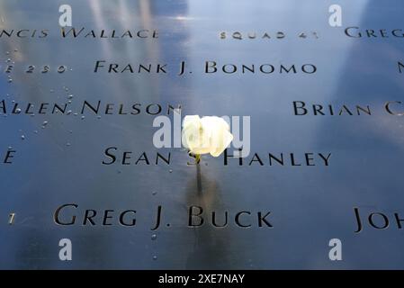 18. Juni 2024 - New York City, USA - Eine Rose zwischen zwei Namen im World Trade Centre Memorial New York Stockfoto