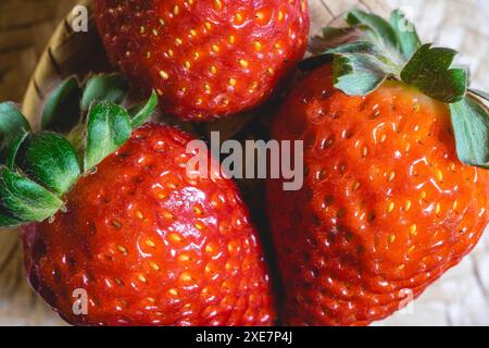 Nahaufnahme von 3 Erdbeeren, die auf einem Strohhintergrund liegen. Stockfoto