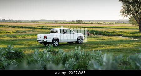 Weißer Volkswagen Amarok auf grüner Wiese. Hintere Dreiviertelansicht eines VW-Pickup-Muldenkippers mit Doppelkabine auf dem Feld. Stockfoto