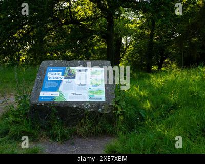 Informationsschild Castle Neroche, Buckland St Mary, Chard, Somerset, Großbritannien Stockfoto