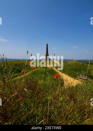 Ham Hill Country Park, Blackdown Hills, Somerset, Großbritannien Stockfoto