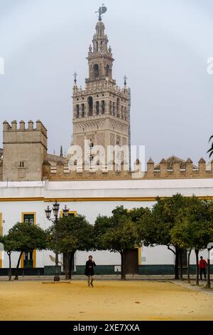 Sevilla, Spanien. 7. Februar 2024: Kathedrale von Sevilla und Giralda-Turm vom Patio de Banderas plaza aus Stockfoto