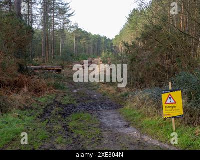 Baumstämme am Rande eines Waldwegs mit einem Schild für die Forstarbeiten in Wareham Forest, Dorset, Großbritannien Stockfoto