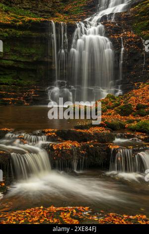 Der Wasserfall der Scaleber Force im Yorkshire Dales National Park, North Yorkshire, England. Herbst (Oktober) 2018. Stockfoto