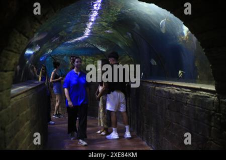 (240626) -- QAWRA, 26. Juni 2024 (Xinhua) -- Menschen besuchen das Malta National Aquarium in Qawra, Malta, am 26. Juni 2024. (Xinhua/Chen Wenxian) Stockfoto