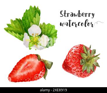 Aquarellabbildungen von ganzen Erdbeeren, geschnittenen Erdbeeren und Blumen in einem botanischen Thema Stockfoto