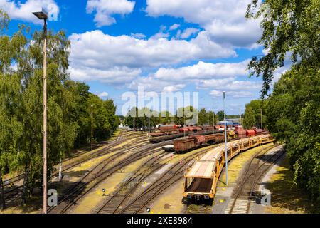 Blick von oben auf zahlreiche Eisenbahngleise mit Zügen. Blauer Himmel mit weißen Wolken. Stockfoto
