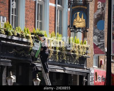 Gärtner, der an Pflanzen in einem hohen Fensterkasten über dem historischen Woodins Shades Pub in Bishopsgate London arbeitet. Das Pub gehört Nicholson's Pubs und wird von ihnen betrieben. Stockfoto