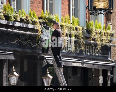 Gärtner, der an Pflanzen in einem hohen Fensterkasten über dem historischen Woodins Shades Pub in Bishopsgate London arbeitet. Das Pub gehört Nicholson's Pubs und wird von ihnen betrieben. Stockfoto