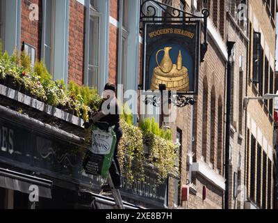 Gärtner, der an Pflanzen in einem hohen Fensterkasten über dem historischen Woodins Shades Pub in Bishopsgate London arbeitet. Das Pub gehört Nicholson's Pubs und wird von ihnen betrieben. Stockfoto