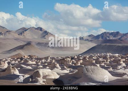 Der Campo de Piedra Pomez ist ein riesiges Feld aus vulkanischem Gestein und Sanddünen im Herzen der Provinz Catamarca, Argentinien Stockfoto