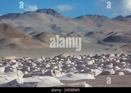 Der Campo de Piedra Pomez ist ein riesiges Feld aus vulkanischem Gestein und Sanddünen im Herzen der Provinz Catamarca, Argentinien Stockfoto