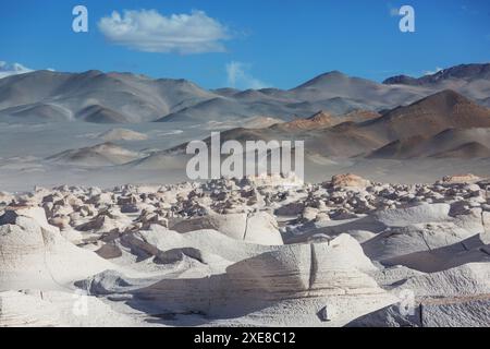 Der Campo de Piedra Pomez ist ein riesiges Feld aus vulkanischem Gestein und Sanddünen im Herzen der Provinz Catamarca, Argentinien Stockfoto