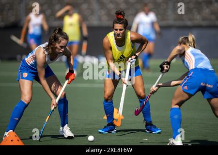 AMSTELVEEN - Fay van der Elst und Frederique Matla während eines Trainings der niederländischen Hockeyfrauen im Vorfeld der Olympischen Spiele in Paris. ANP-SCHLEIFMASCHINE KONING Stockfoto