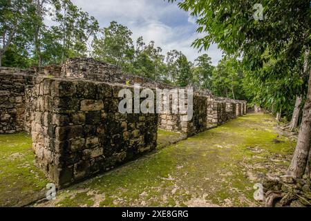 Calakmul, eine archäologische Stätte der Maya in den Tiefen des Dschungels in Campeche, Mexiko Stockfoto