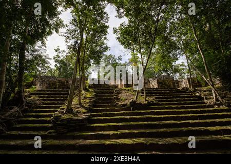 Calakmul, eine archäologische Stätte der Maya in den Tiefen des Dschungels in Campeche, Mexiko Stockfoto