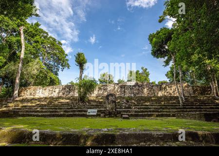 Calakmul, eine archäologische Stätte der Maya in den Tiefen des Dschungels in Campeche, Mexiko Stockfoto