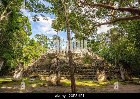 Calakmul, eine archäologische Stätte der Maya in den Tiefen des Dschungels in Campeche, Mexiko Stockfoto