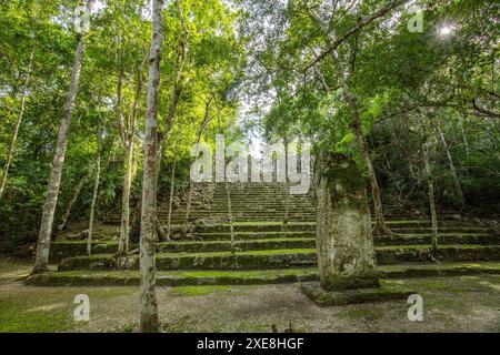 Calakmul, eine archäologische Stätte der Maya in den Tiefen des Dschungels in Campeche, Mexiko Stockfoto