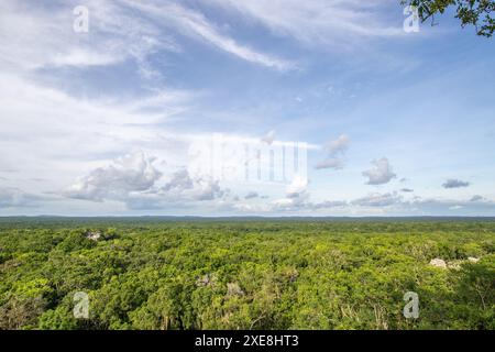 Calakmul, eine archäologische Stätte der Maya in den Tiefen des Dschungels in Campeche, Mexiko Stockfoto