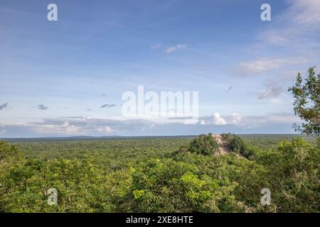 Calakmul, eine archäologische Stätte der Maya in den Tiefen des Dschungels in Campeche, Mexiko Stockfoto