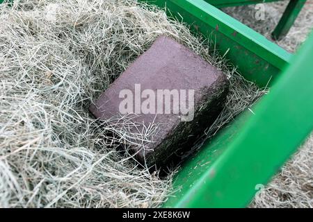 Spuren von mineralisiertem Salzblock in einem Heufutter für Nutztiere. Stockfoto