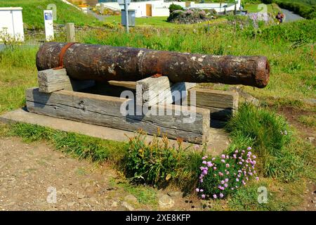 Ein alter rostiger Kanon auf der Klippe von Mullion Cove, Lizard Peninsula, Cornwall, Großbritannien - John Gollop Stockfoto