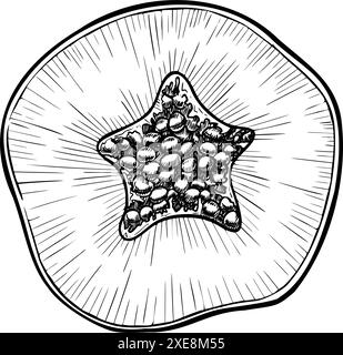 Vektor-Papaya-Fruchtscheibe. Handgezeichnete lineare Darstellung exotischer tropischer Saftpflanzen auf isoliertem Hintergrund. Schwarze Skizze der Pfote für Produktions-Label oder -Logo im Ätzstil. Stock Vektor