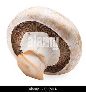 Frischer Champignonpilz isoliert auf weißem Hintergrund mit Schnittpfad. Stockfoto