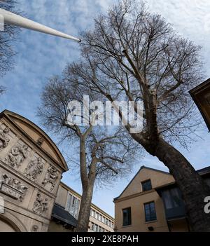 "Ecole nationale supérieure des beaux-Arts de Paris , ENSBA, Stockfoto